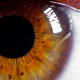 Illustration for article titled Movie Version Of Blindness Wrecks A Classic Novel, Say Critics